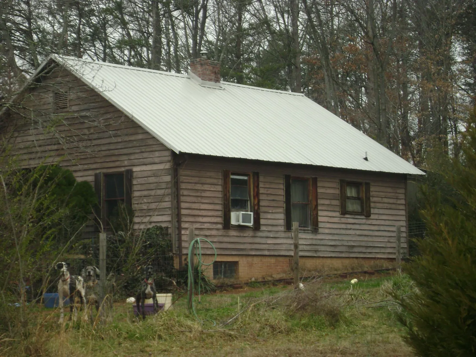 White metal roof on an old wood sided farmhouse, from a Asphalt Shingle Roof Repair job in Arlee